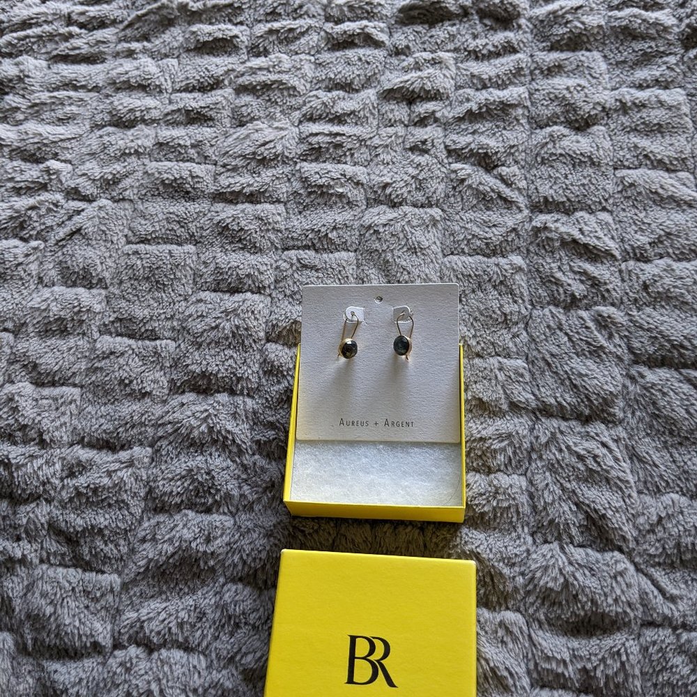 Banana Republic Stone Drop Earrings